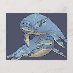 Carte postale Dinosaure - Kronosaurus