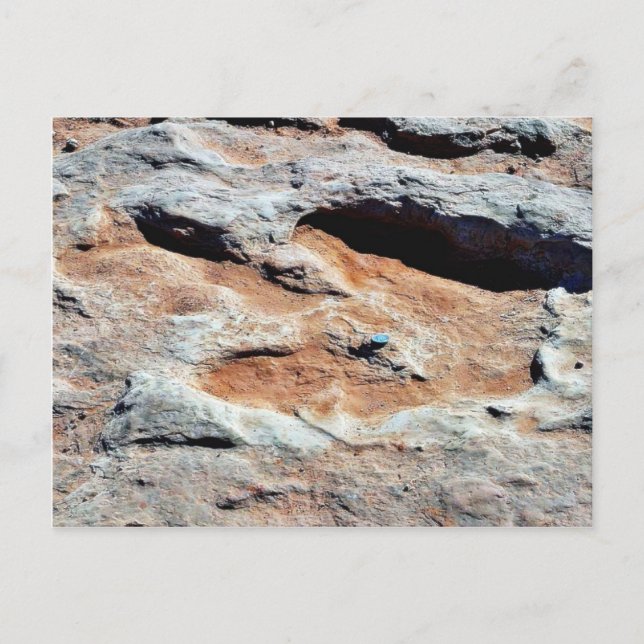 Carte Postale Dinosaure Traces Au Nord De Flagstaff (Devant)