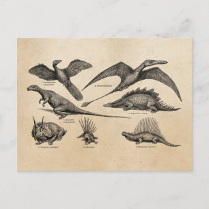 Carte Postale Dinosaure vintage Illustration Dinosaures rétro