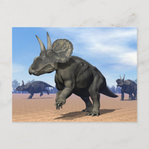 Carte Postale Dinosaures de dicératops/nédoceratops dans le dése