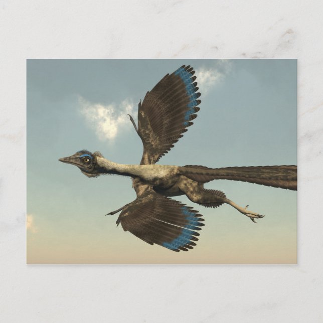 Carte Postale Dinosaures d'oiseaux d'archéoptéryx volant - 3D (Devant)