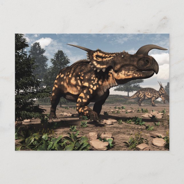 Carte Postale dinosaures Einiosaurus dans le désert - rendu 3D (Devant)