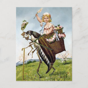Carte postale d'insectes vintage