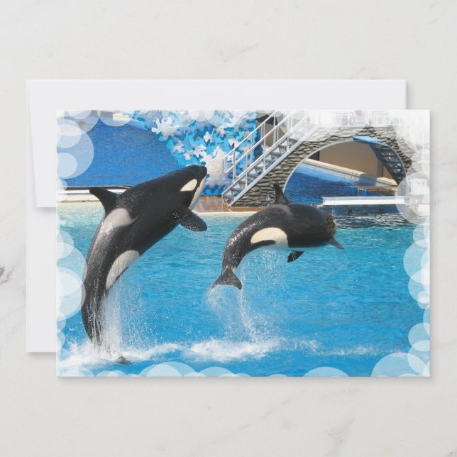 Carte postale d'invitation de baleine (Devant)