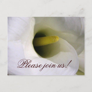 Carte postale d'invitation de zantedeschia