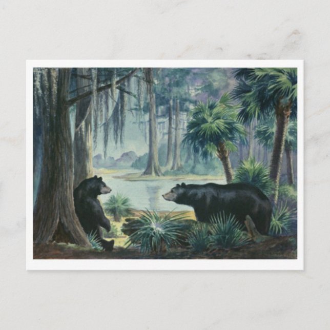 Carte postale Diorama Ours Noir (Devant)