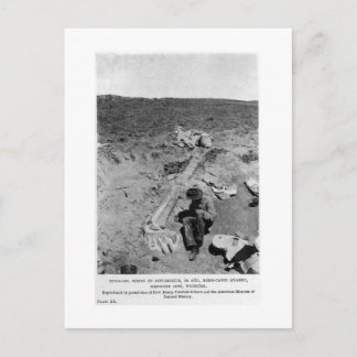 Carte postale Diplodocus dinosaur creuser art