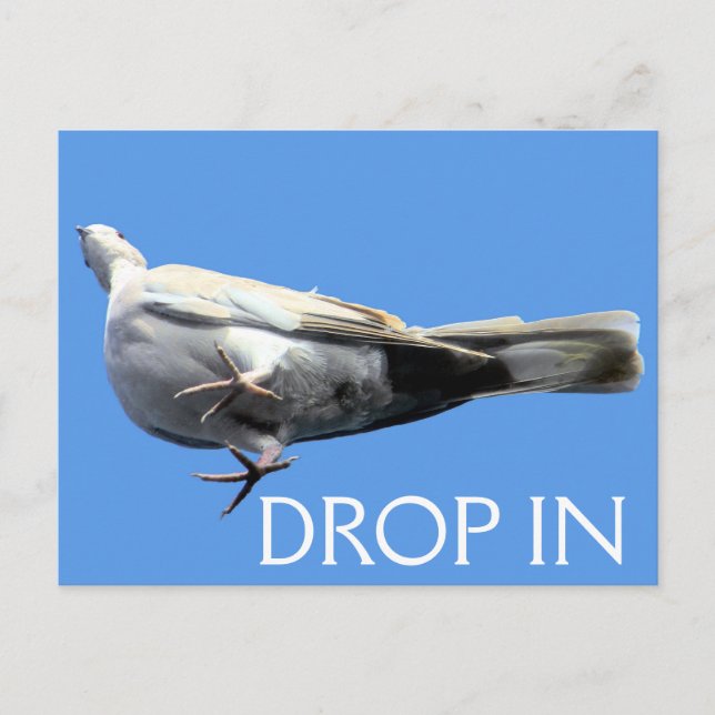 Carte postale directe - SRF (Devant)