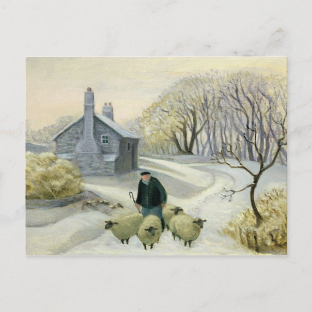 Carte Postale Diriger le mouton (Devant)