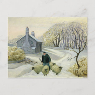 Carte Postale Diriger le mouton