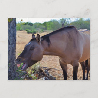 Carte Postale Dis aaah