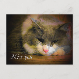 Carte Postale Dis Que Je Te Manque Avec Ce Chat Triste