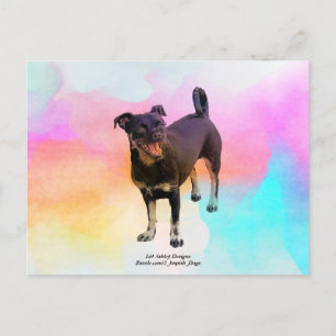 Carte postale disco de Paris