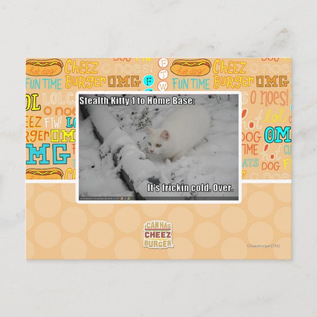 Carte Postale Discrétion Kitty 1 (Devant)