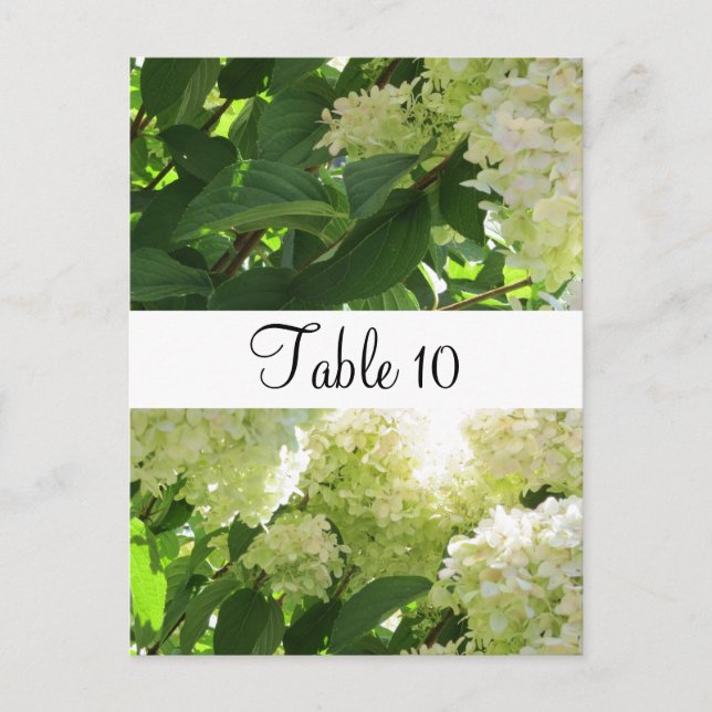 Carte Postale Disposition de table aux hortensias blancs (Devant)