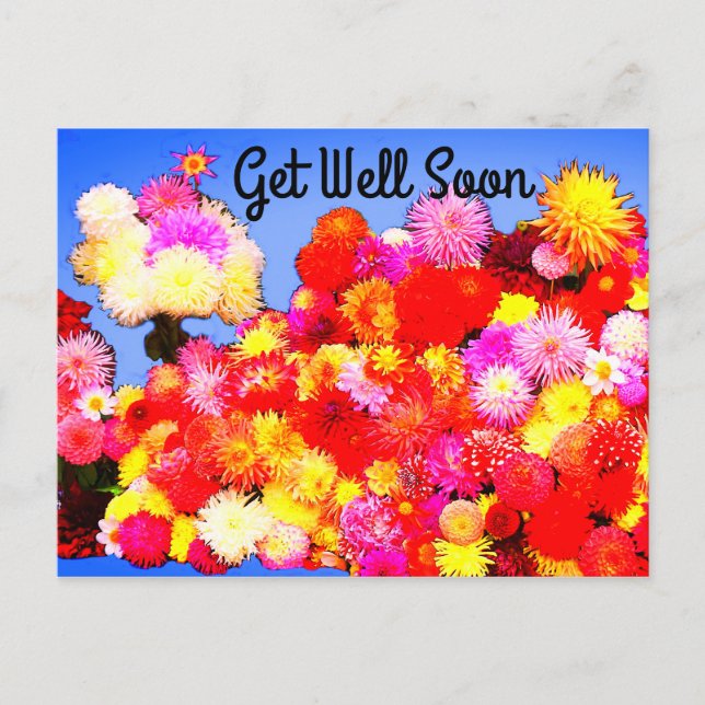 Carte postale Divers Dahlia #2-2 (Devant)