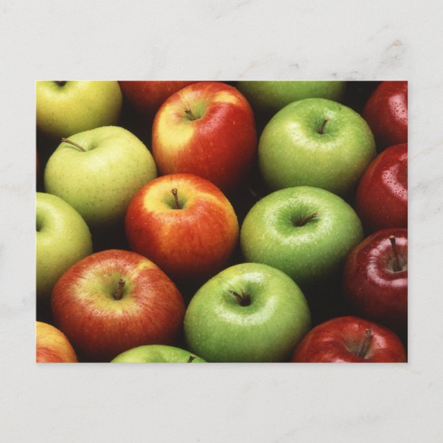 Carte Postale Divers types de pommes (Devant)