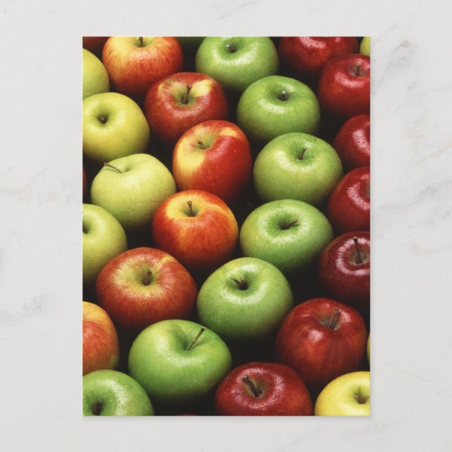 Carte Postale Divers types de pommes (Devant)