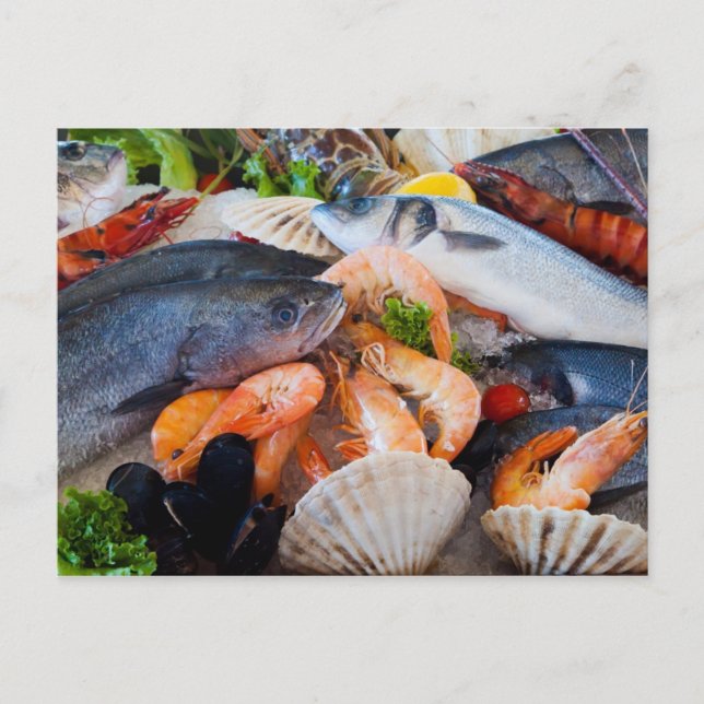 Carte Postale Diverses crustacés (Devant)