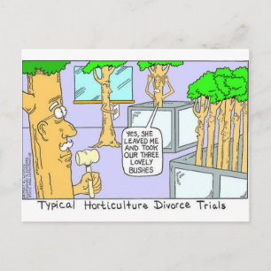 Carte Postale Divorce d'arbres : Cadeaux drôles T-shirts et obje