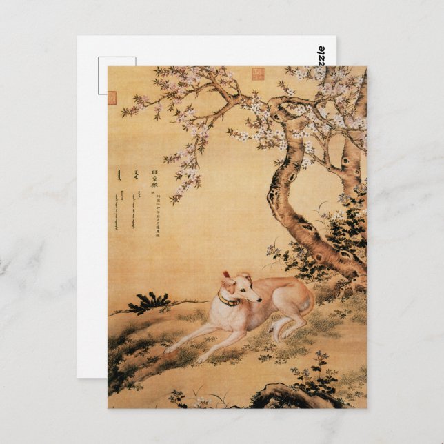 Carte Postale Dix Chiens primés - Loup Shanxing (lévriers chinoi (Devant / Derrière)