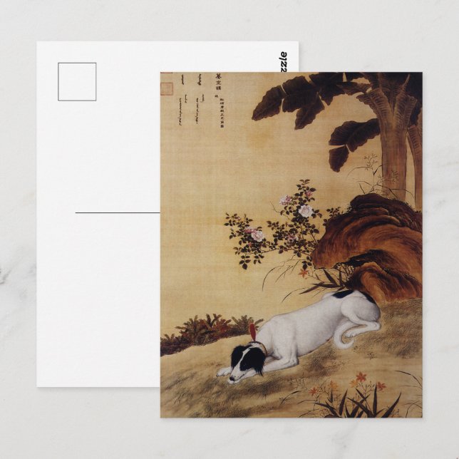 Carte Postale Dix Chiens primés - Mukongque (lévriers chinois) (Devant / Derrière)
