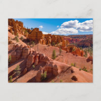 Carte postale Dixie National Forest Landcape Photo