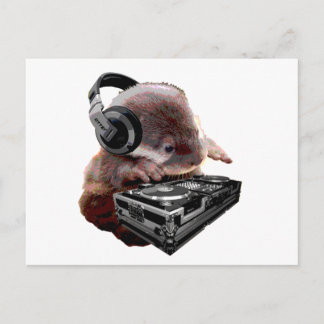 Carte Postale DJ None Otter