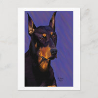 Carte postale Doberman