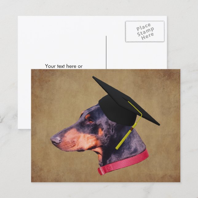 Carte Postale Doberman In Graduation Cap Funny Dog Personalized (Devant / Derrière)