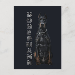 Carte Postale Doberman Pinscher