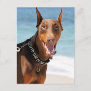 Carte Postale Doberman - Rouge - Mauvais à l'os