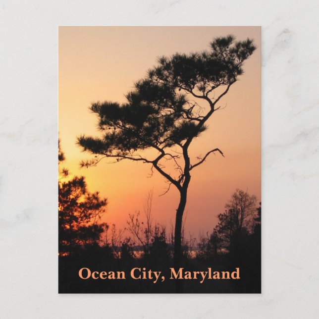 Carte postale d'Ocean City au coucher du soleil (Devant)