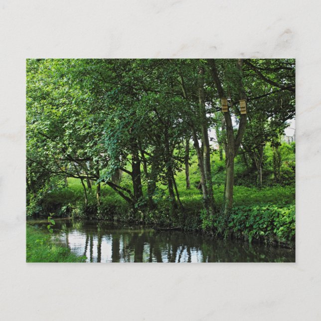 Carte Postale Dock Feeder Canal, Bute Park, Cardiff, Pays de Gal (Devant)