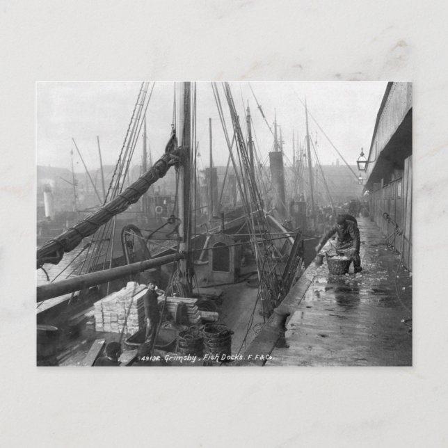 Carte Postale Docks de poissons, Grimsby, début du 20ème siècle (Devant)