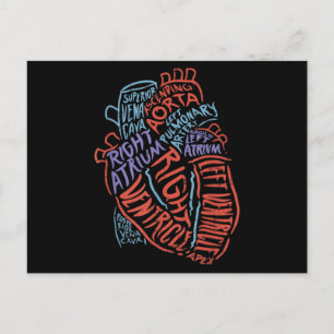 Carte Postale Docteur en anatomie cardiologue Biologie Médicale
