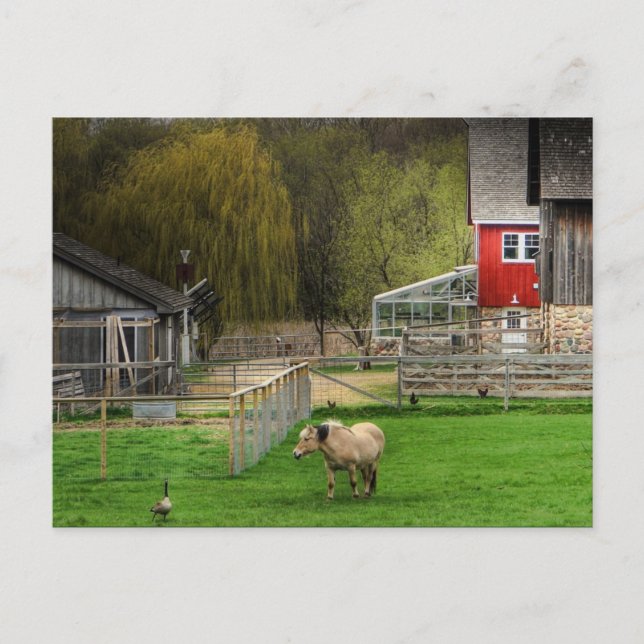 Carte Postale Dodge Nature Centre (Devant)