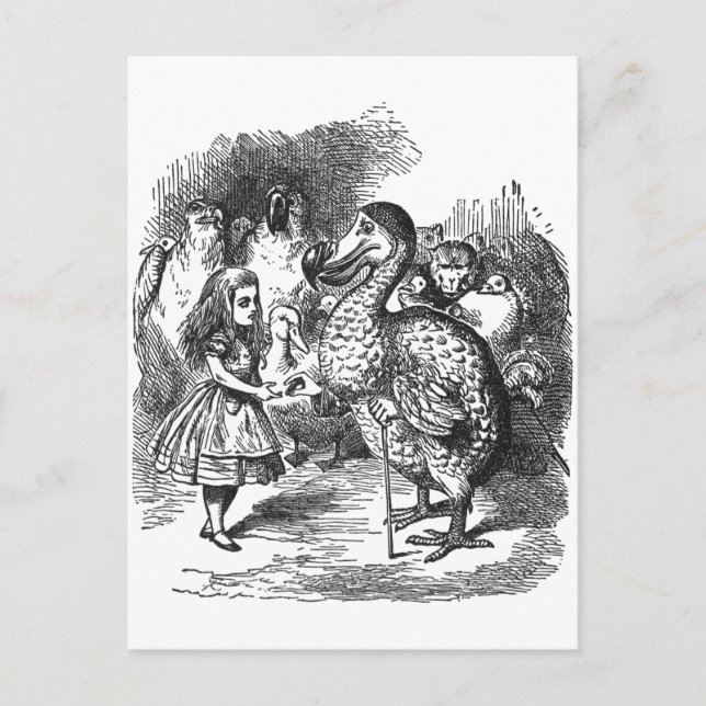 Carte Postale Dodo (Devant)