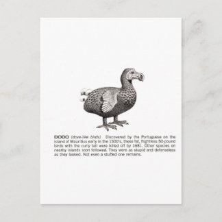 Carte Postale dodo
