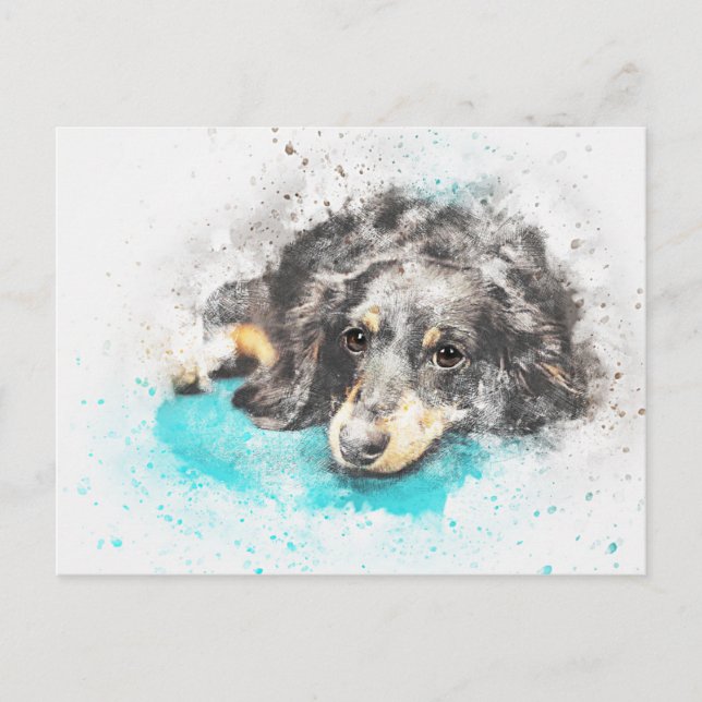 Carte Postale dog-2719601_1920 (Devant)