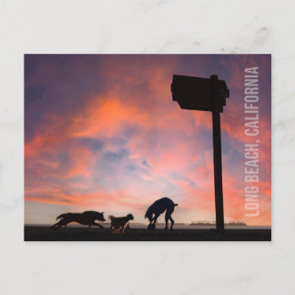 Carte Postale Dog Beach at Sunset - Long Beach, Californie