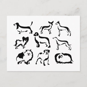 Carte Postale Dog Breeds