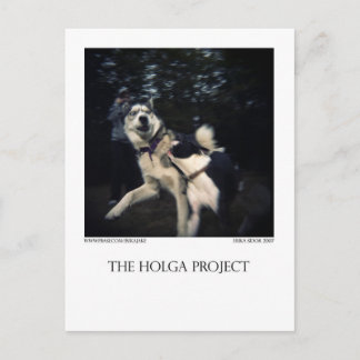 Carte postale Dog Park 13