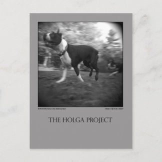 Carte postale Dog Park 15