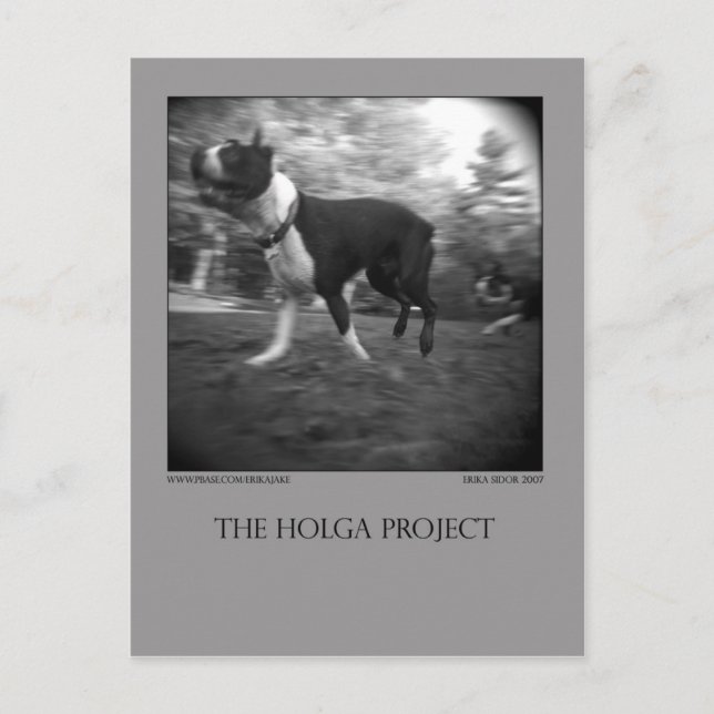 Carte postale Dog Park 15 (Devant)