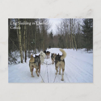 Carte Postale Dog Sledding à Québec, Canada