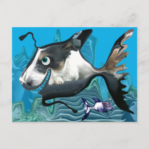 Carte Postale Dogfish Reef