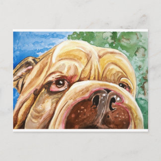 Carte Postale Doggie Kisses
