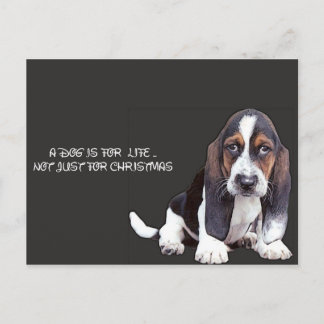 Carte Postale doggy