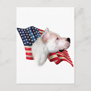 Carte Postale Dogo Argentino